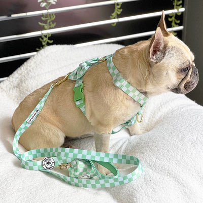 Green Check - Luxe Strap Harness