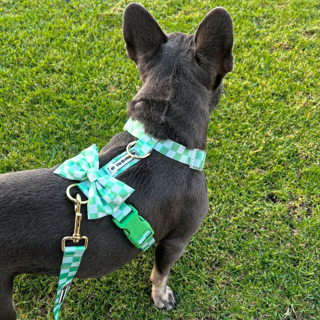 Green Check - Luxe Strap Harness