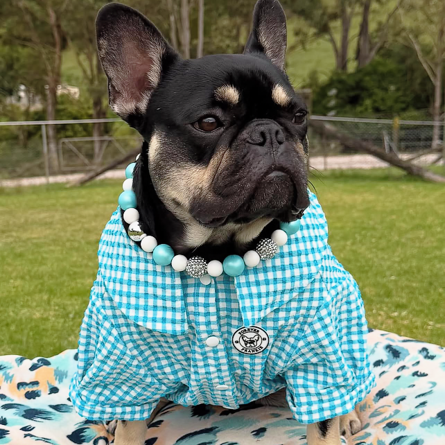 Blue  Gingham Seersucker- Party Shirt