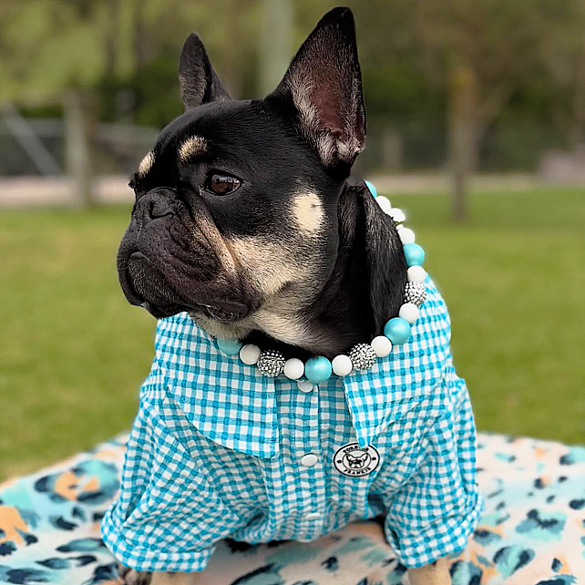 Blue  Gingham Seersucker- Party Shirt