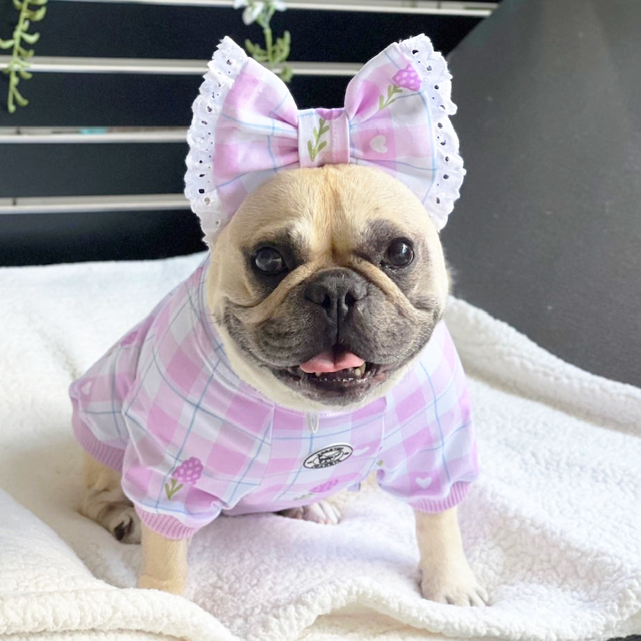 Luxe-Gingham Lavender Dream Dog Skivvy