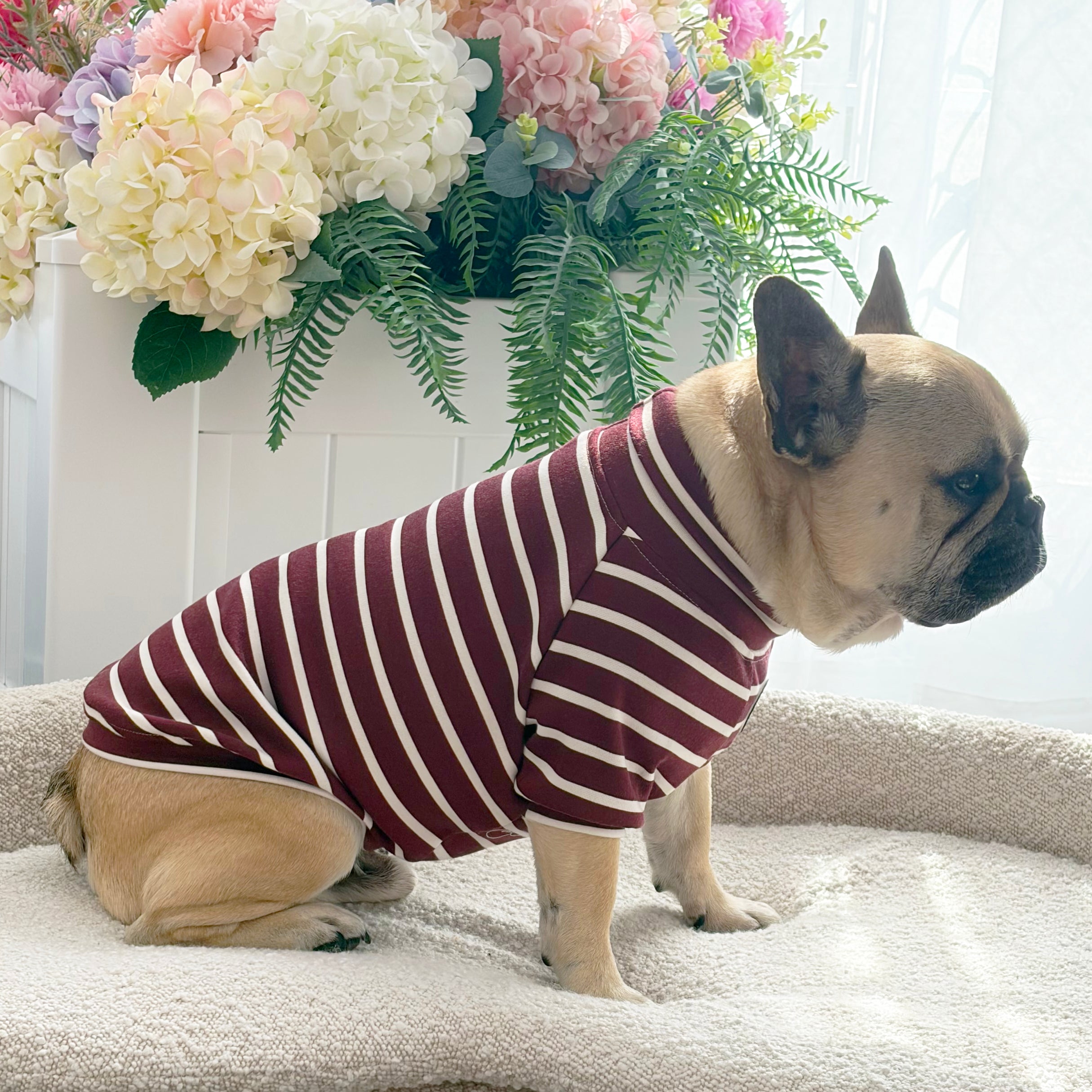 Bordeaux Stripe Skivvy - Dog Skivvy