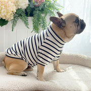 Navy Classic Skivvy - Dog Skivvy