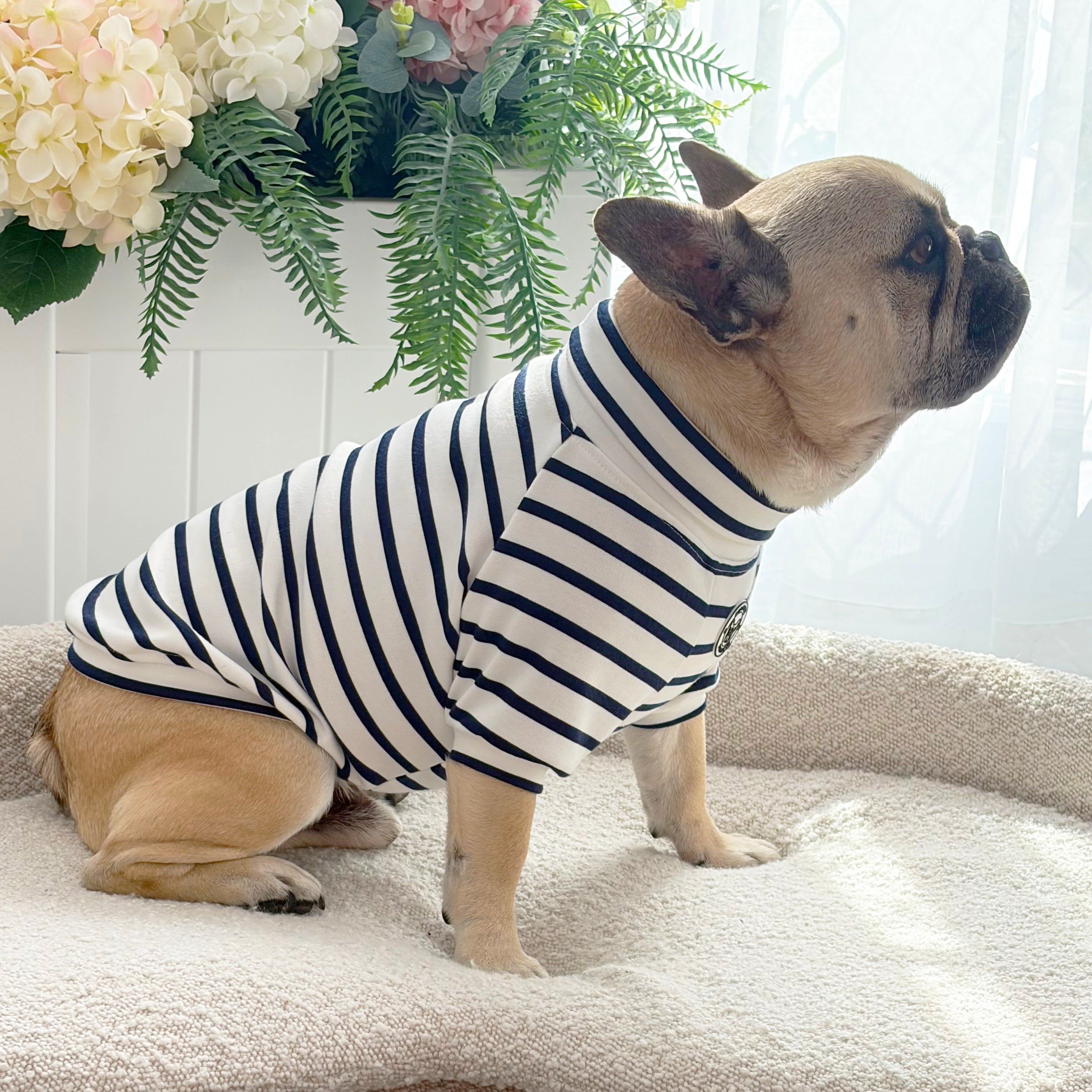 Navy Classic Skivvy - Dog Skivvy