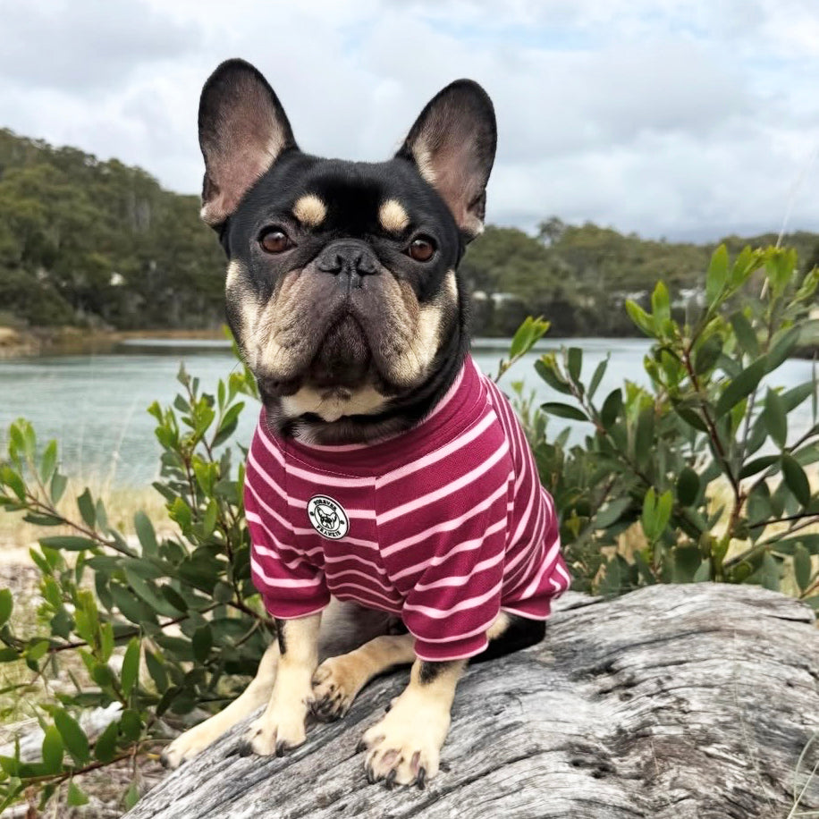 Mulberry Stripe Skivvy - Dog Skivvy