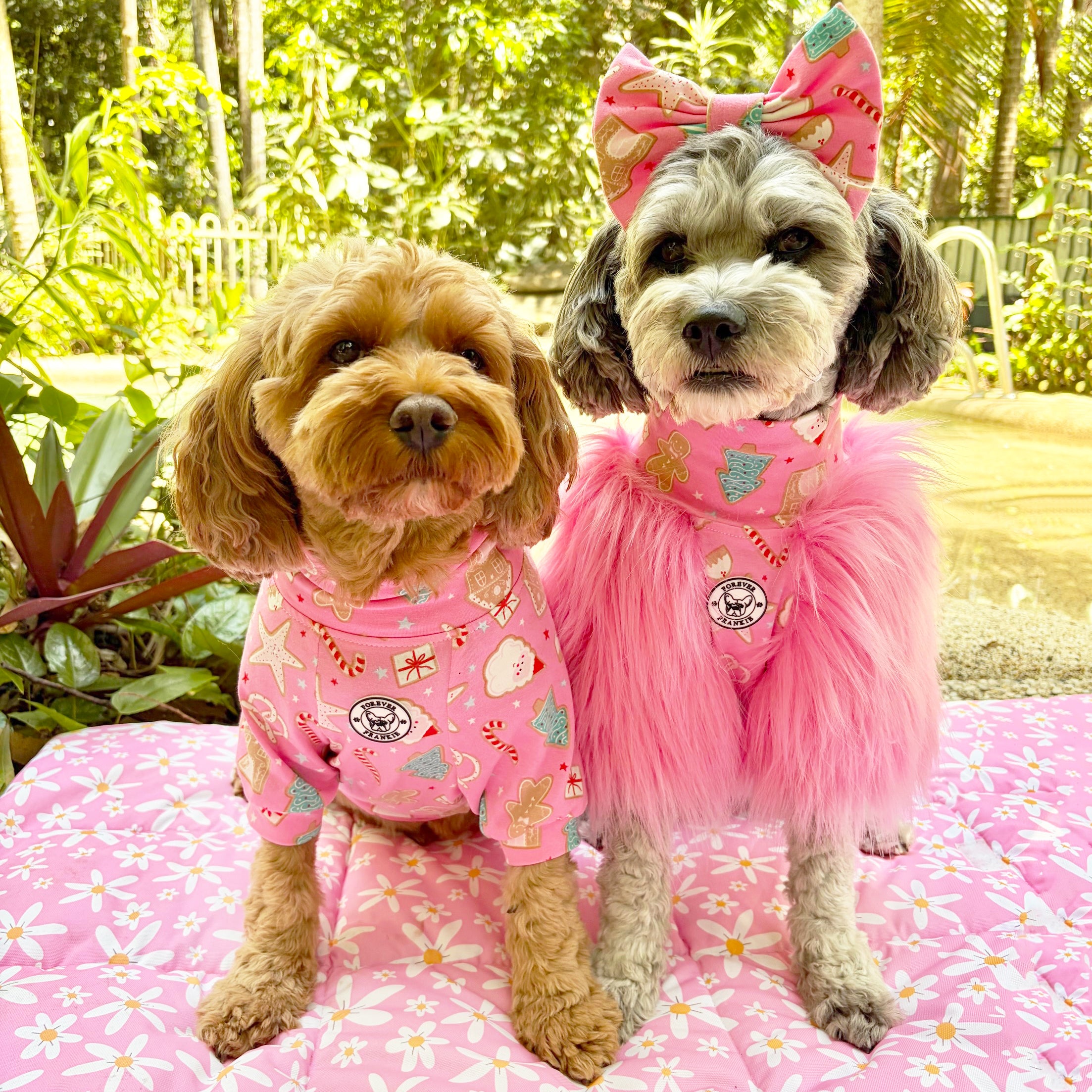 Sugar Rush  - Dog Skivvy