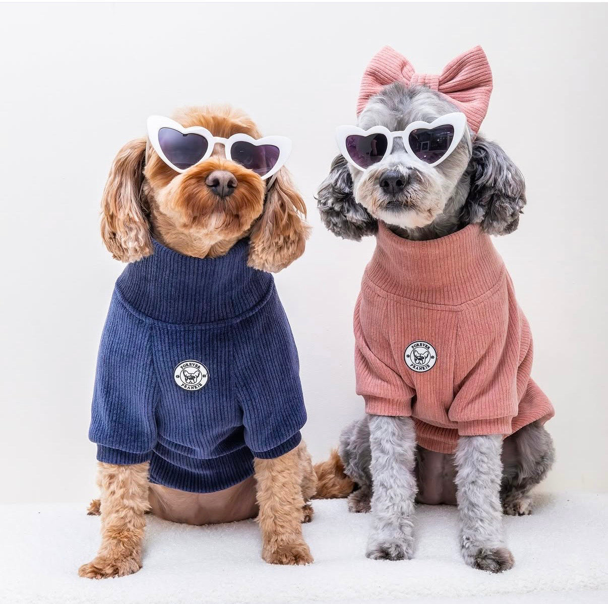 Dusty Rose - Dog Skivvy