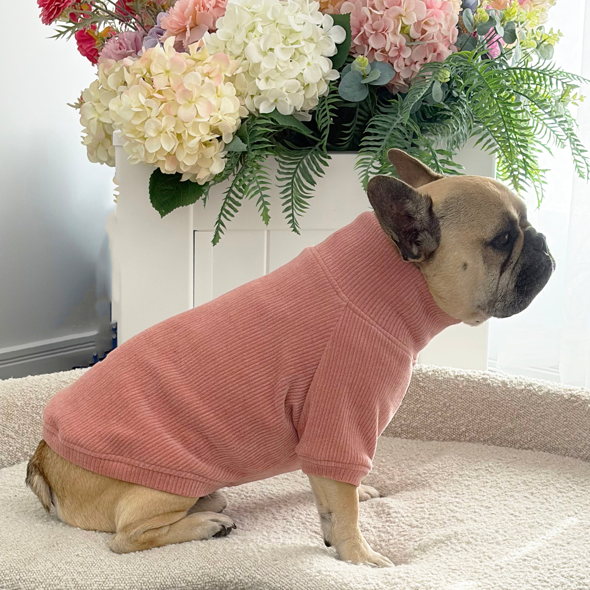 Dusty Rose - Dog Skivvy
