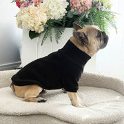 Classic Black - Dog Skivvy