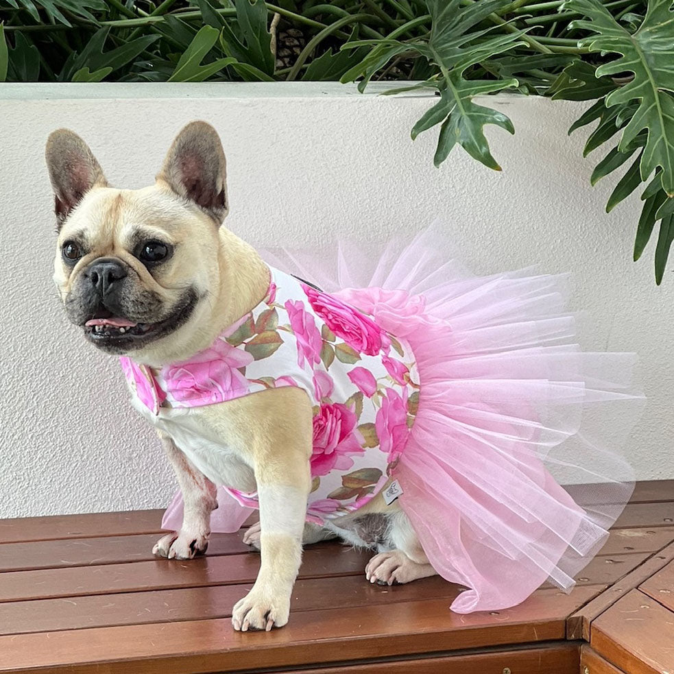 Floral Belle with Pink Ruffles/Tulle (with floral bow) Dog Dress (Limited Edition)