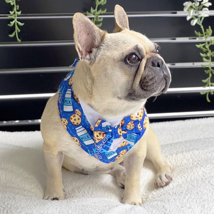 Cookies & Cream Bandana