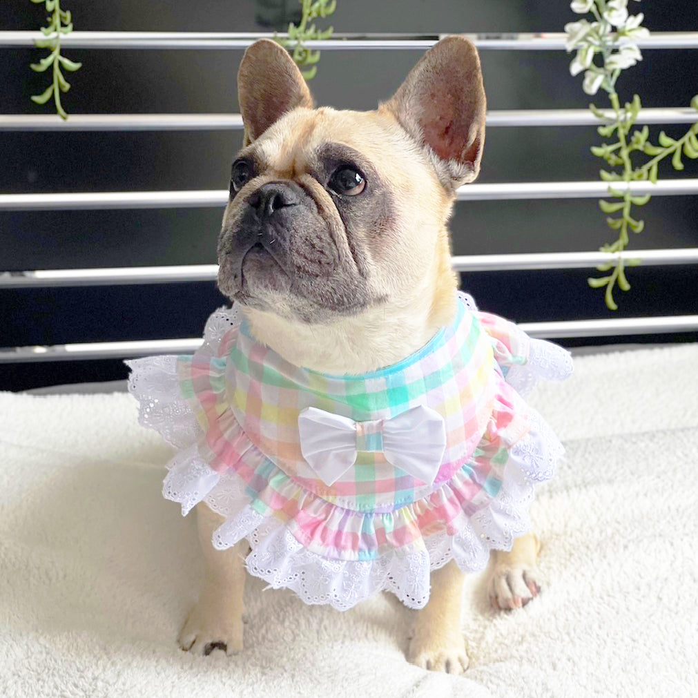 Rainbow Check Bandana