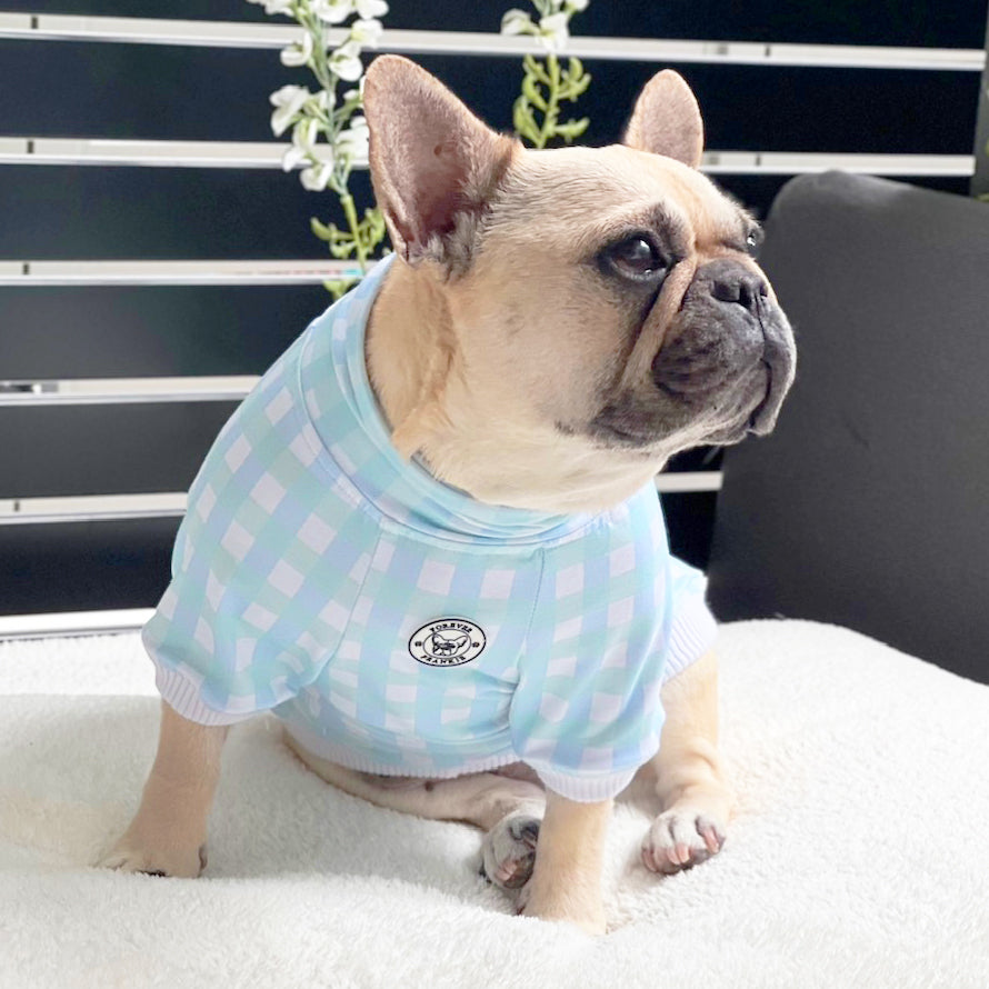 Luxe-Seafoam Snuggles Dog Skivvy