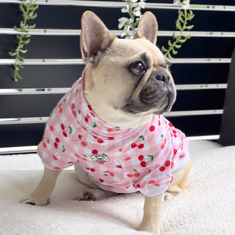 Luxe-Delightful Cherry Dog Skivvy