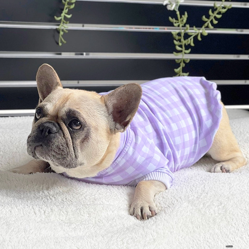 Luxe-Lilac Love Dog Skivvy