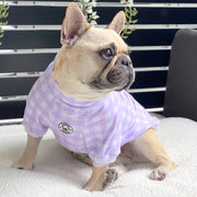 Luxe-Lilac Love Dog Skivvy