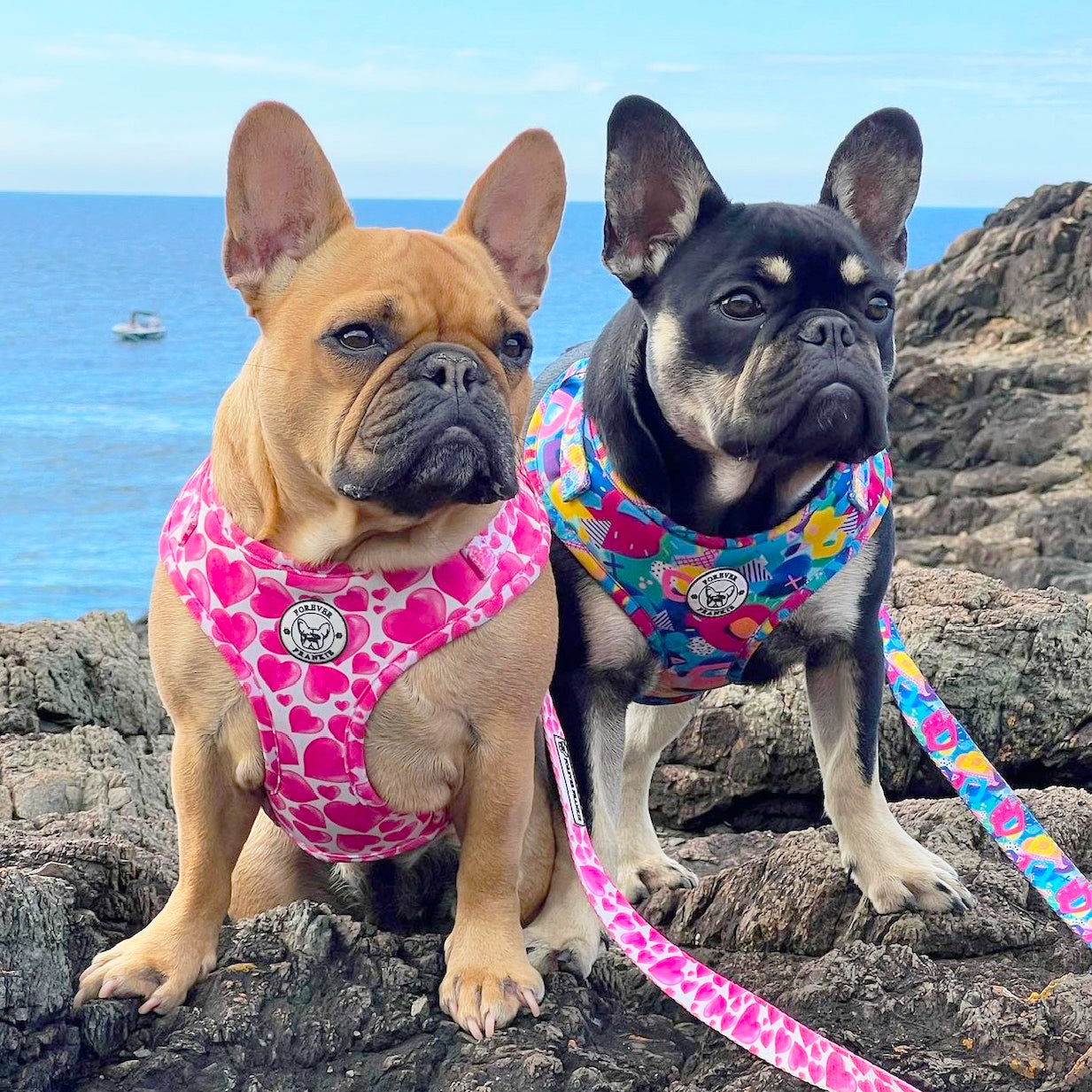 Sweethearts - Adjustable Harness