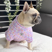 Luxe-Gingham Explosion Dog Skivvy