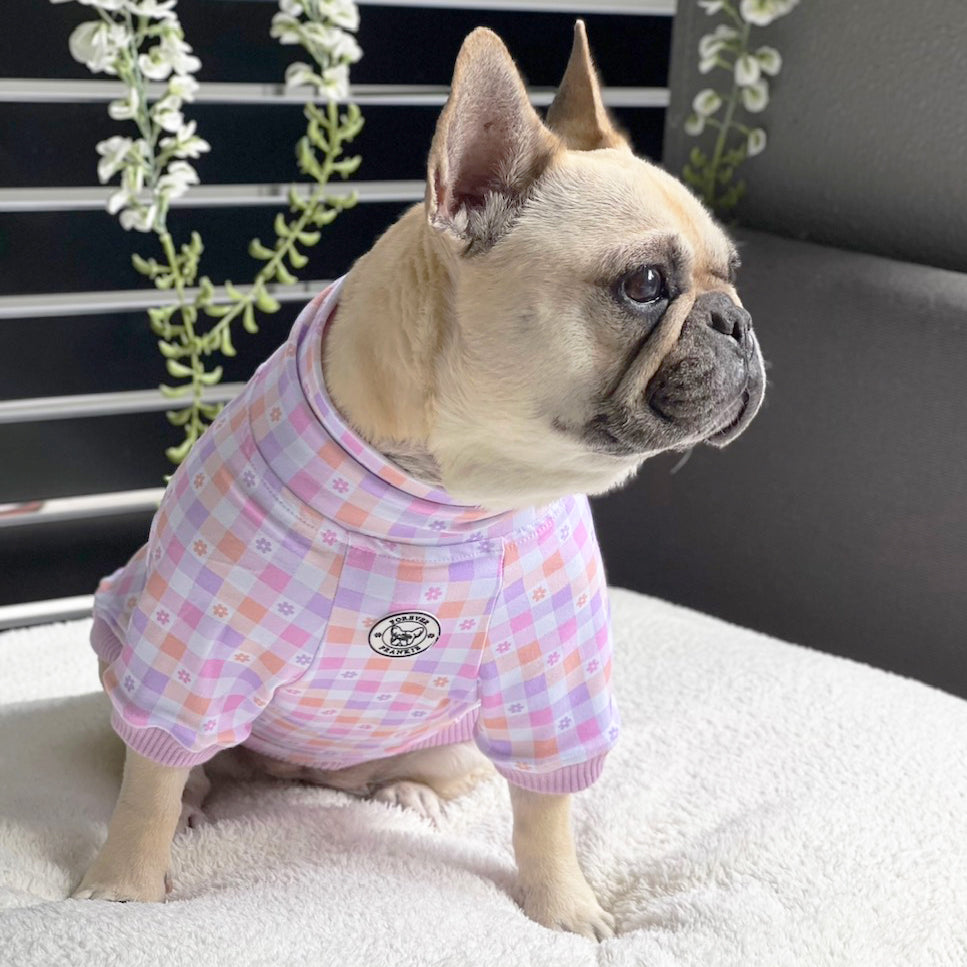 Luxe-Gingham Explosion Dog Skivvy