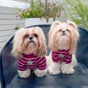 Mulberry Stripe Skivvy - Dog Skivvy