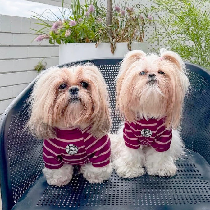 Mulberry Stripe Skivvy - Dog Skivvy