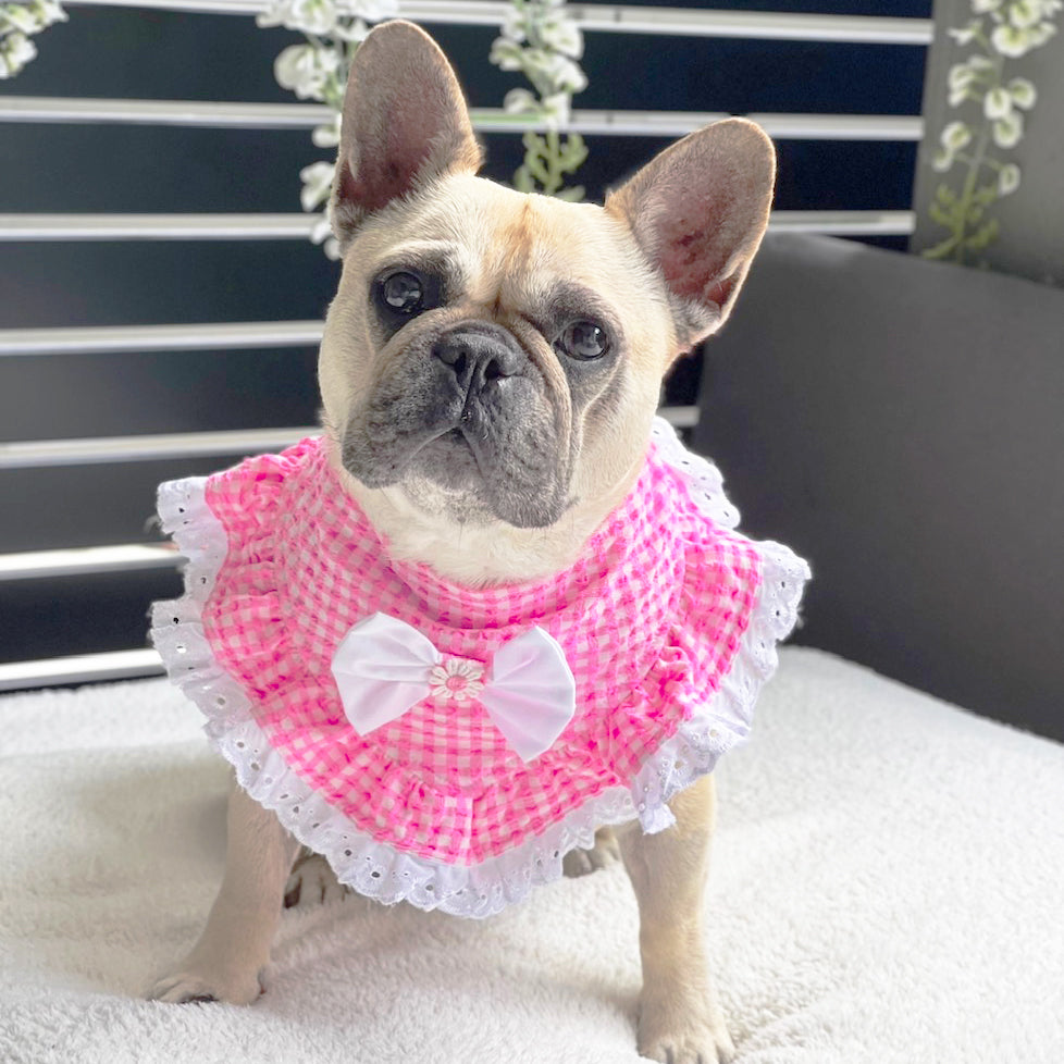 Seersucker Gingham Bandana-LARGE