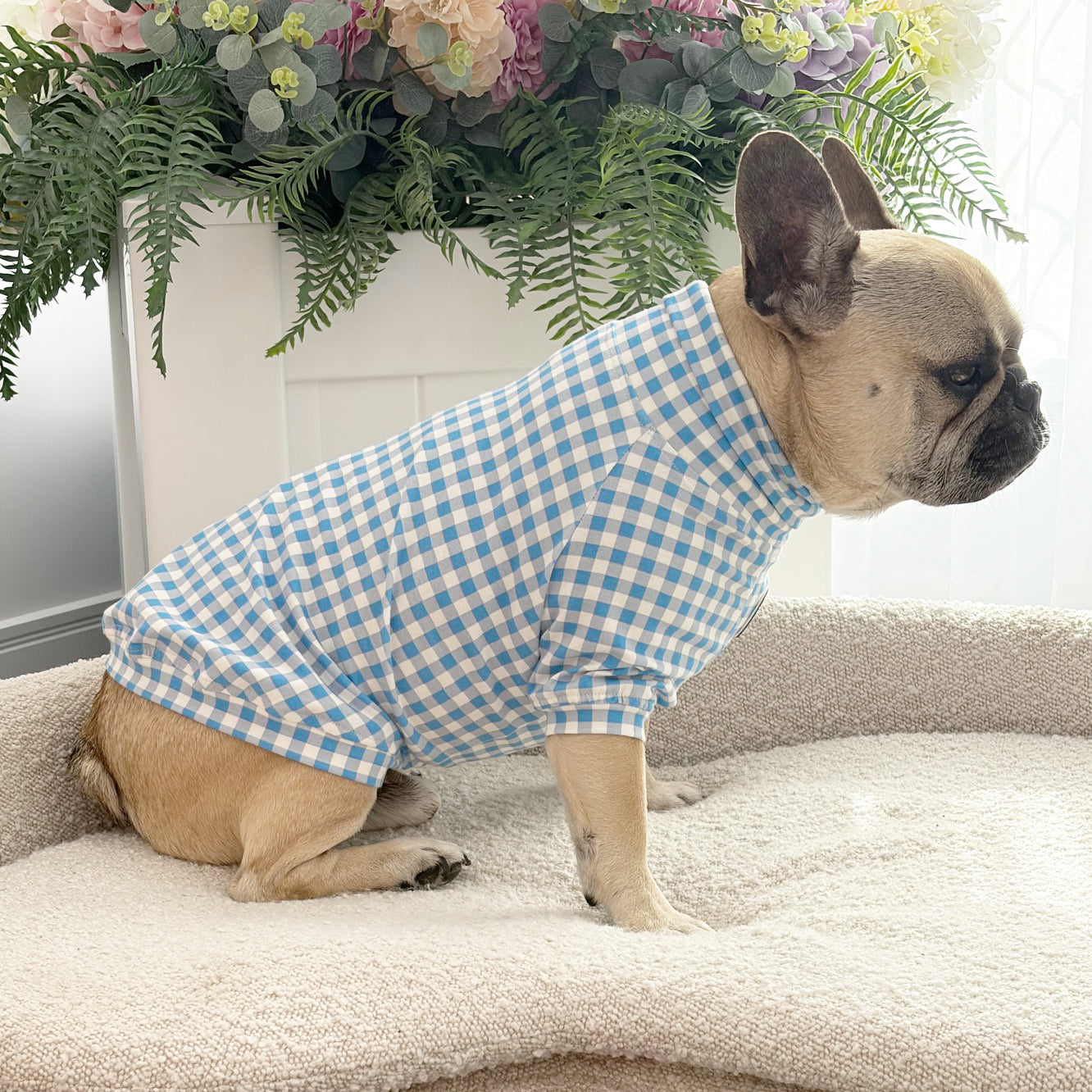 Sky Blue Gingham Check - Dog Skivvy