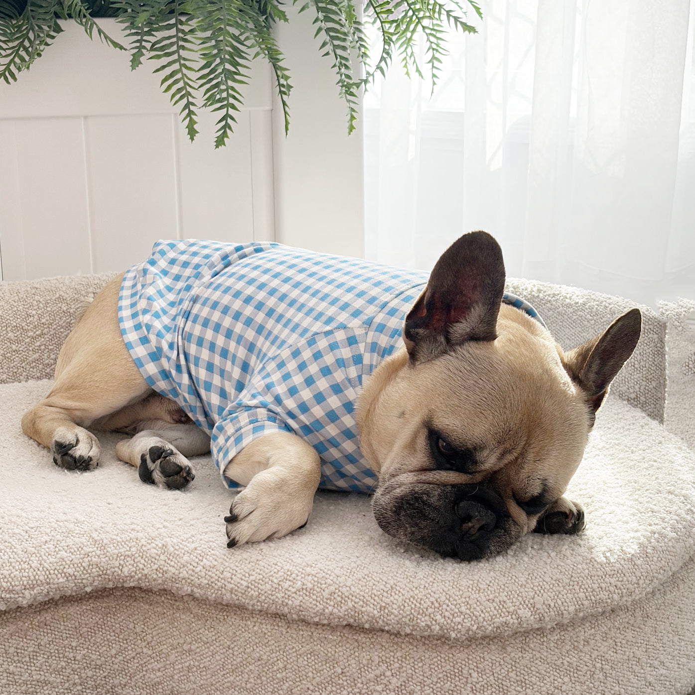 Sky Blue Gingham Check - Dog Skivvy