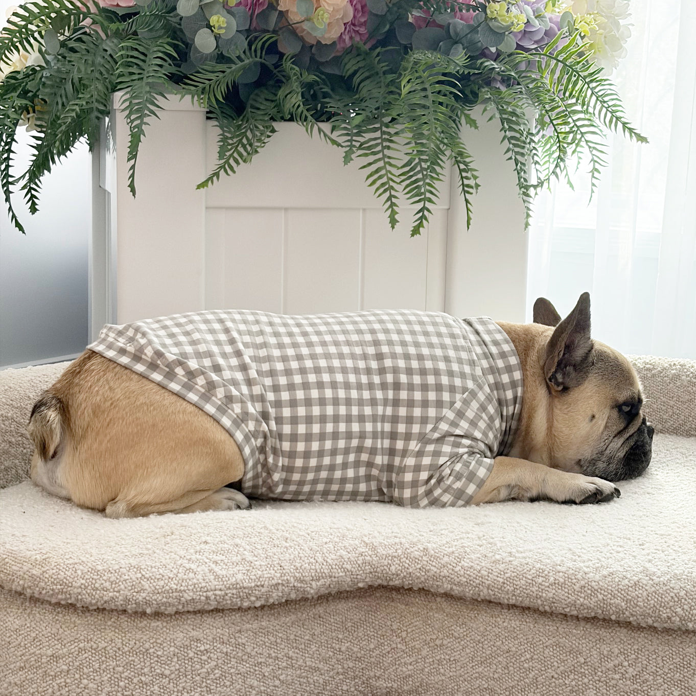 Stone Gingham Check - Dog Skivvy