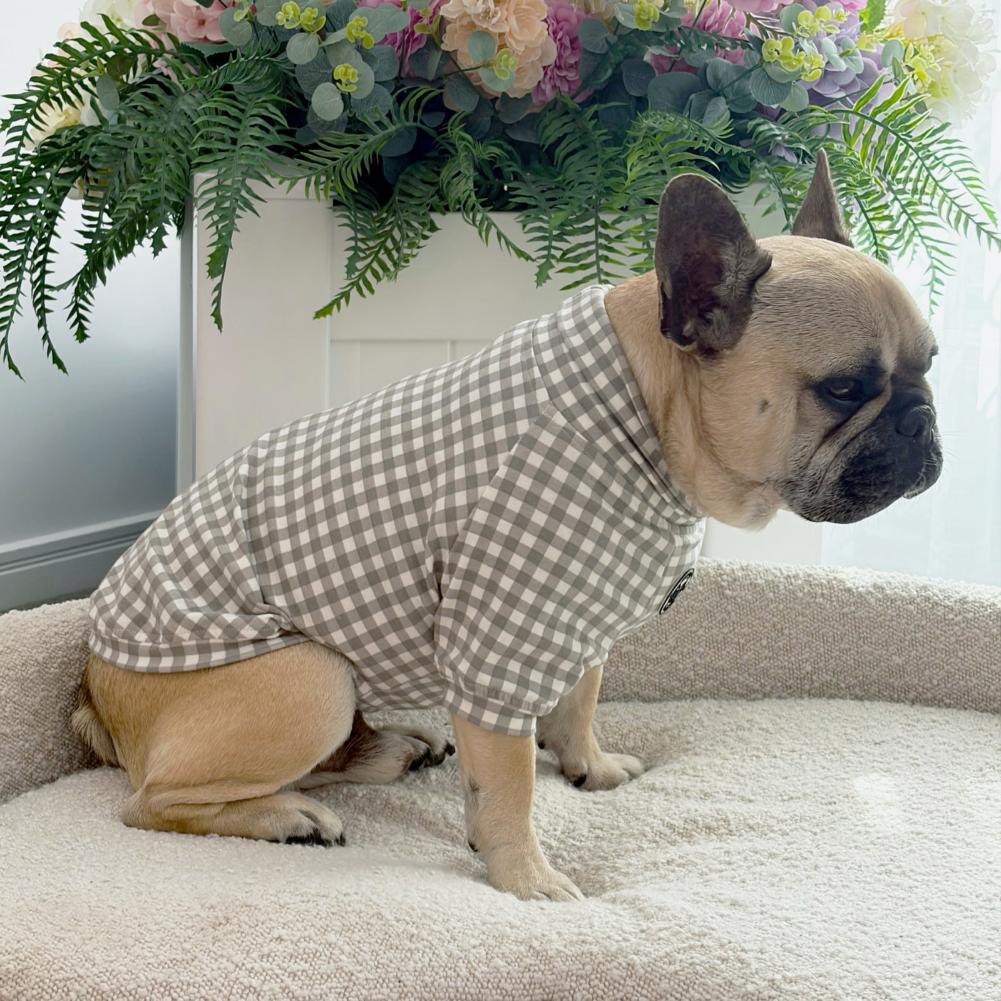Stone Gingham Check - Dog Skivvy