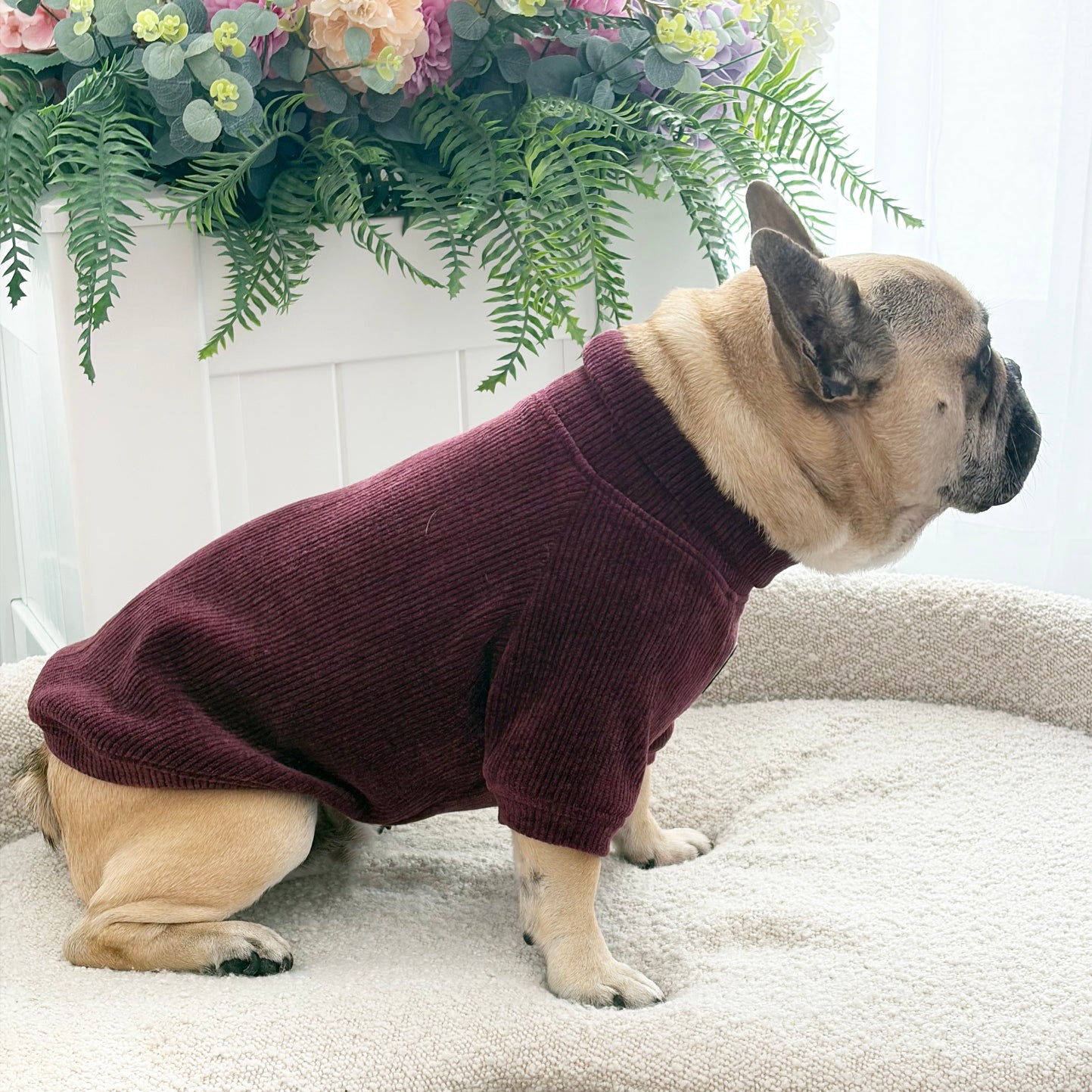 Bordeaux Cord - Dog Skivvy