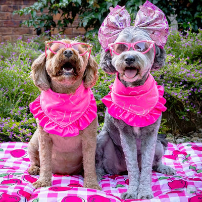 Fluoro Pink Love Bandana