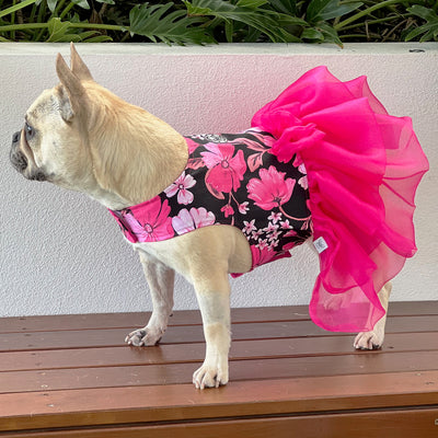 Peony Kisses with Magenta Ruffles (with Tule bow) Dog Dress (Limited Edition)