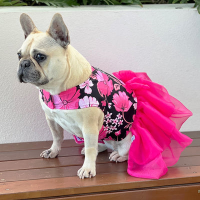Peony Kisses with Magenta Ruffles (with Tule bow) Dog Dress (Limited Edition)