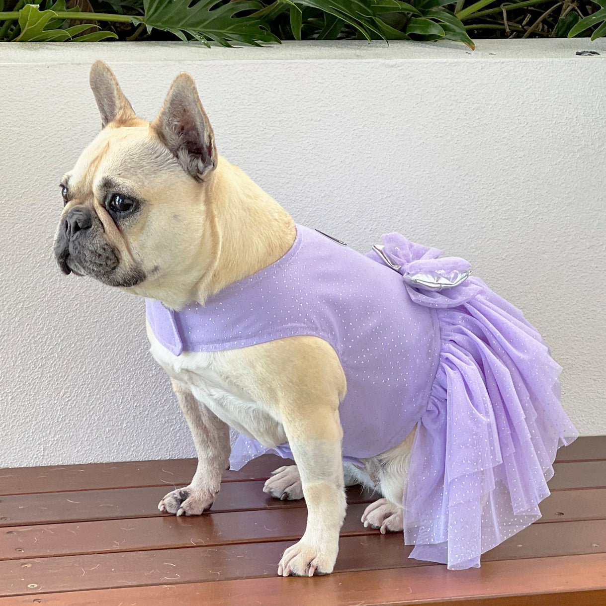 Amethyst Sparkle with Ruffles (with Tule & organza bow) Dog Dress (Limited Edition)