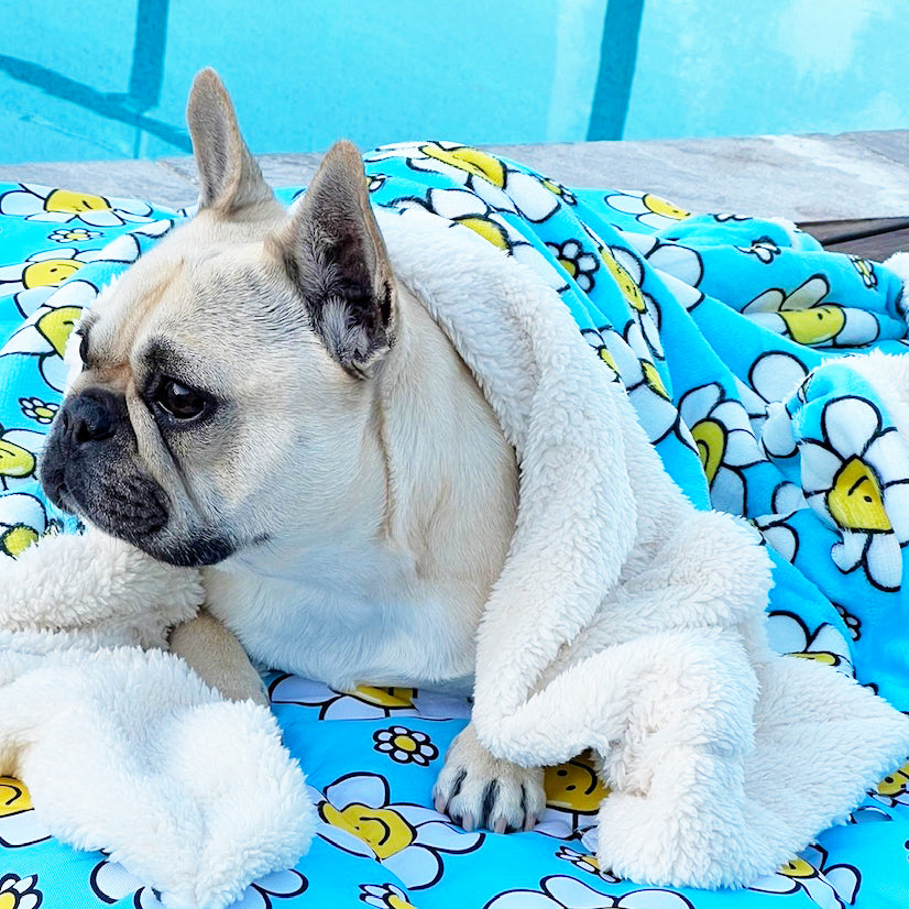 Happy Days - Extra Soft Pet Blanket (Back in stock soon)