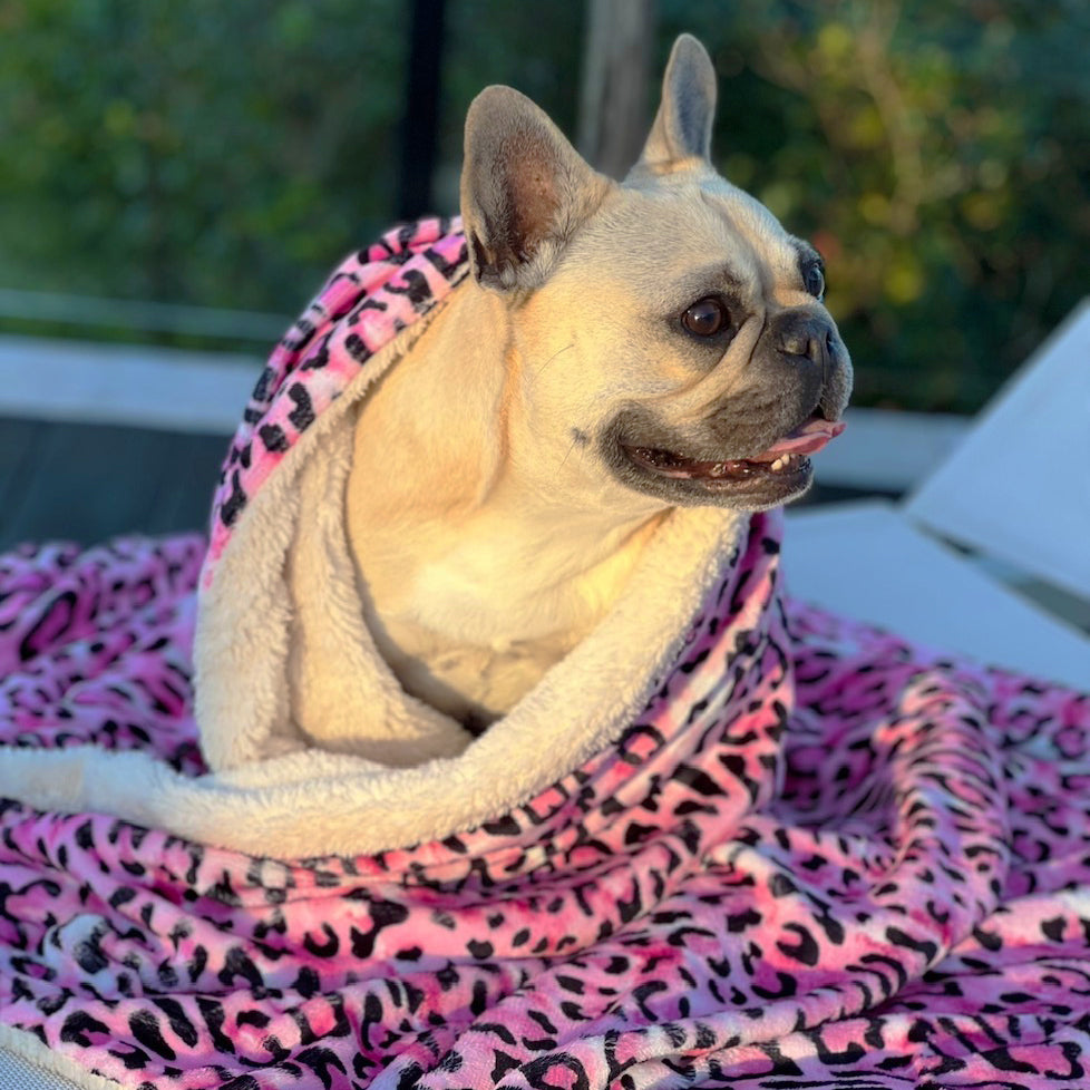 Pink Leopard - Extra Soft Pet Blanket