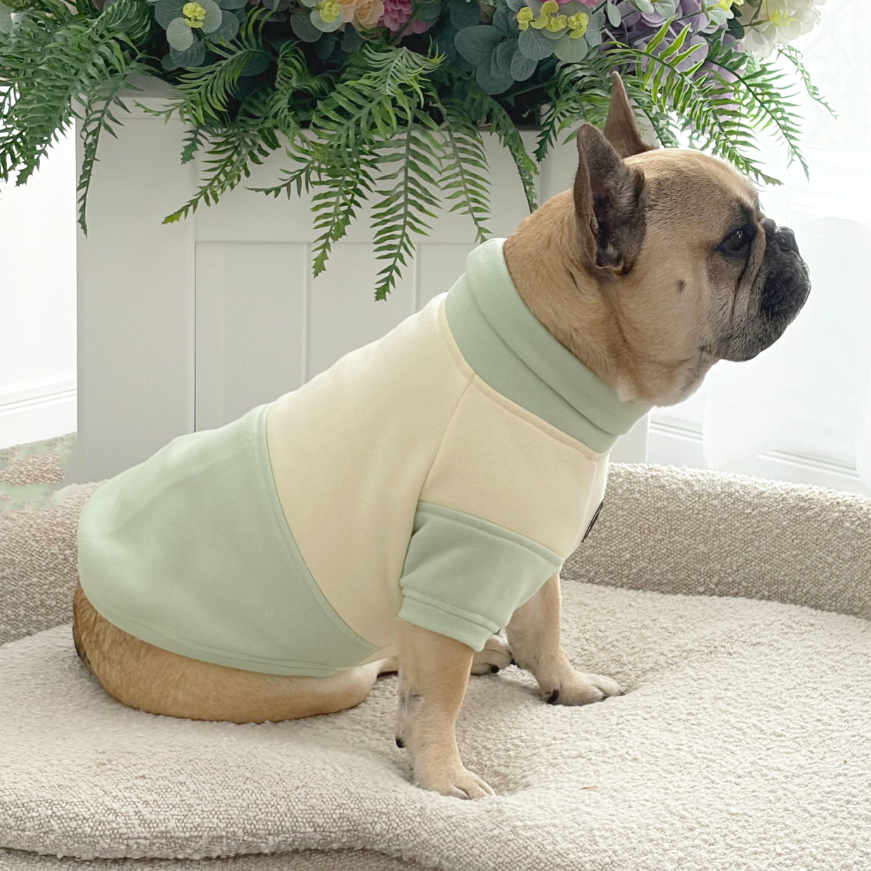 Lime Sorbet Dog Skivvy