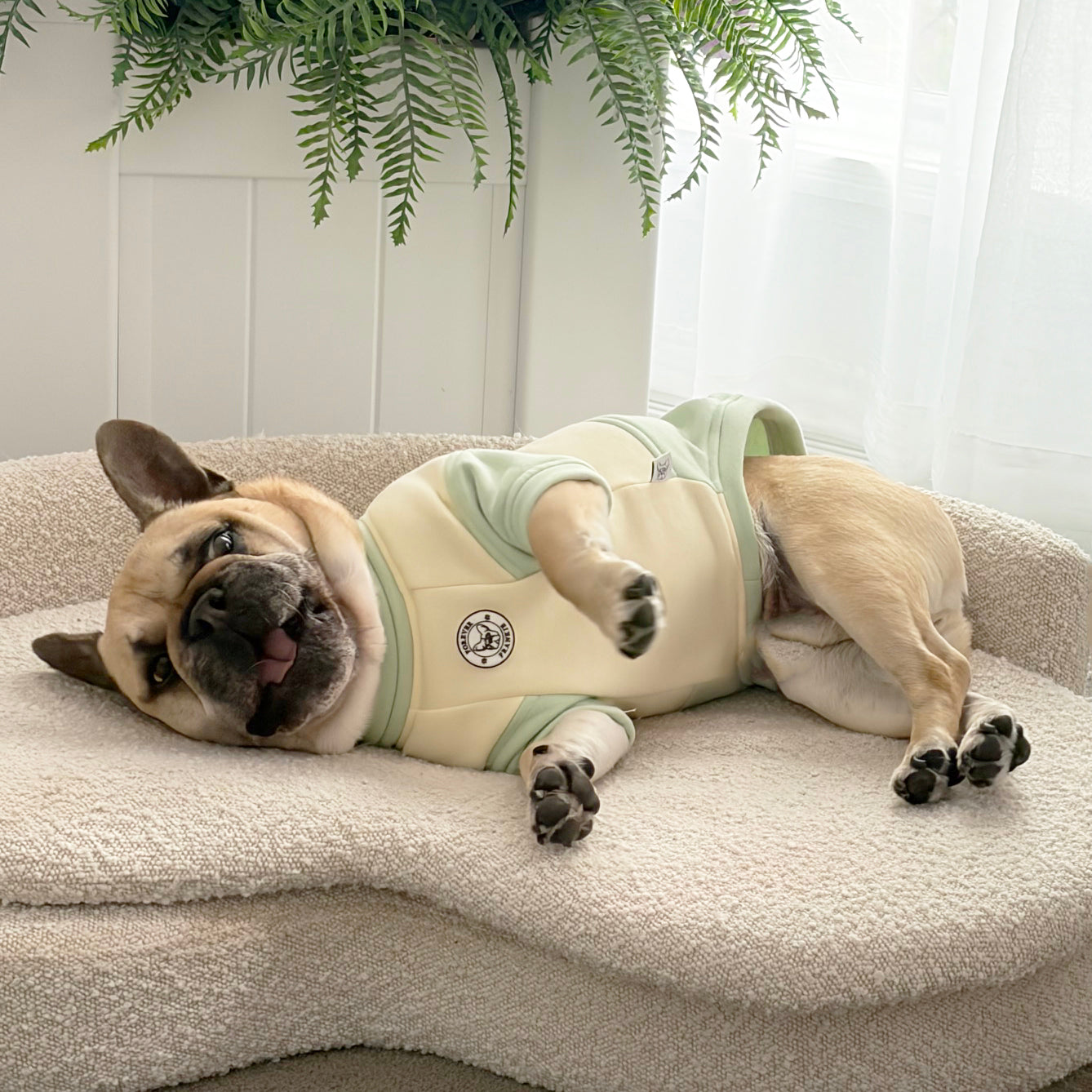 Lime Sorbet Dog Skivvy