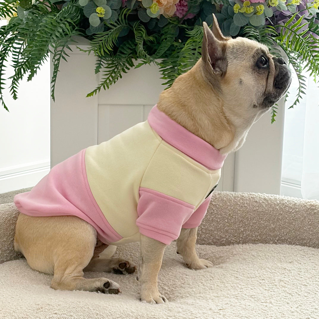 Strawberry Sorbet Dog Skivvy