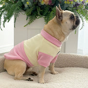 Strawberry Sorbet Dog Skivvy
