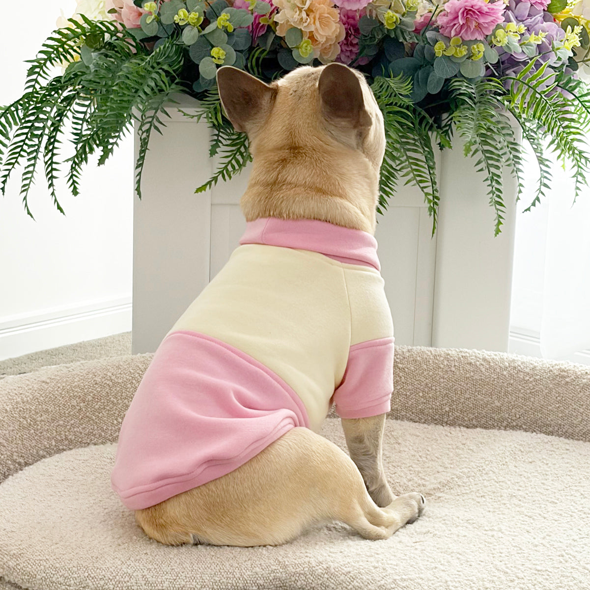 Strawberry Sorbet Dog Skivvy