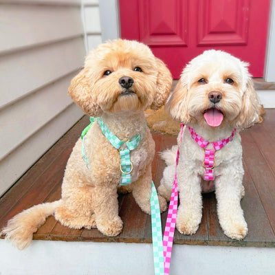 Green Check - Luxe Strap Harness