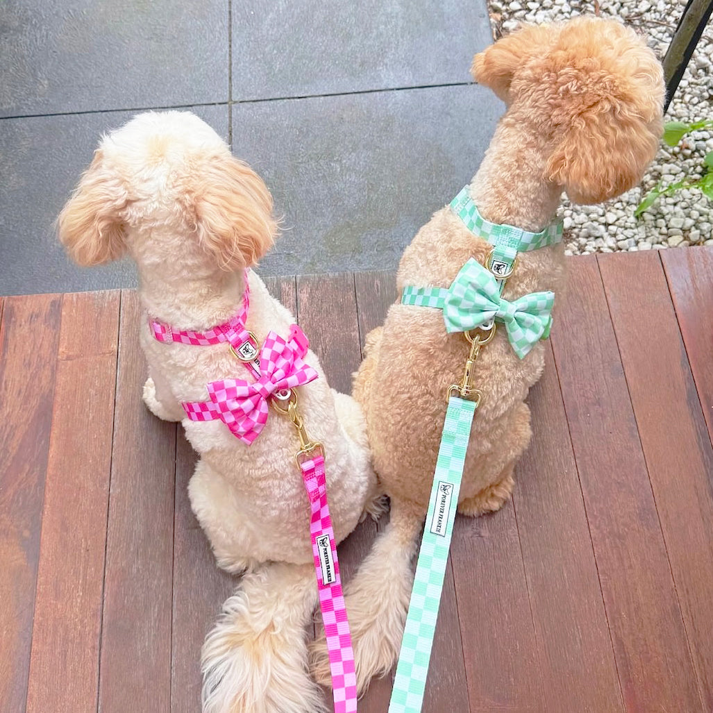 Pink Lemonade Check - Luxe Strap Harness