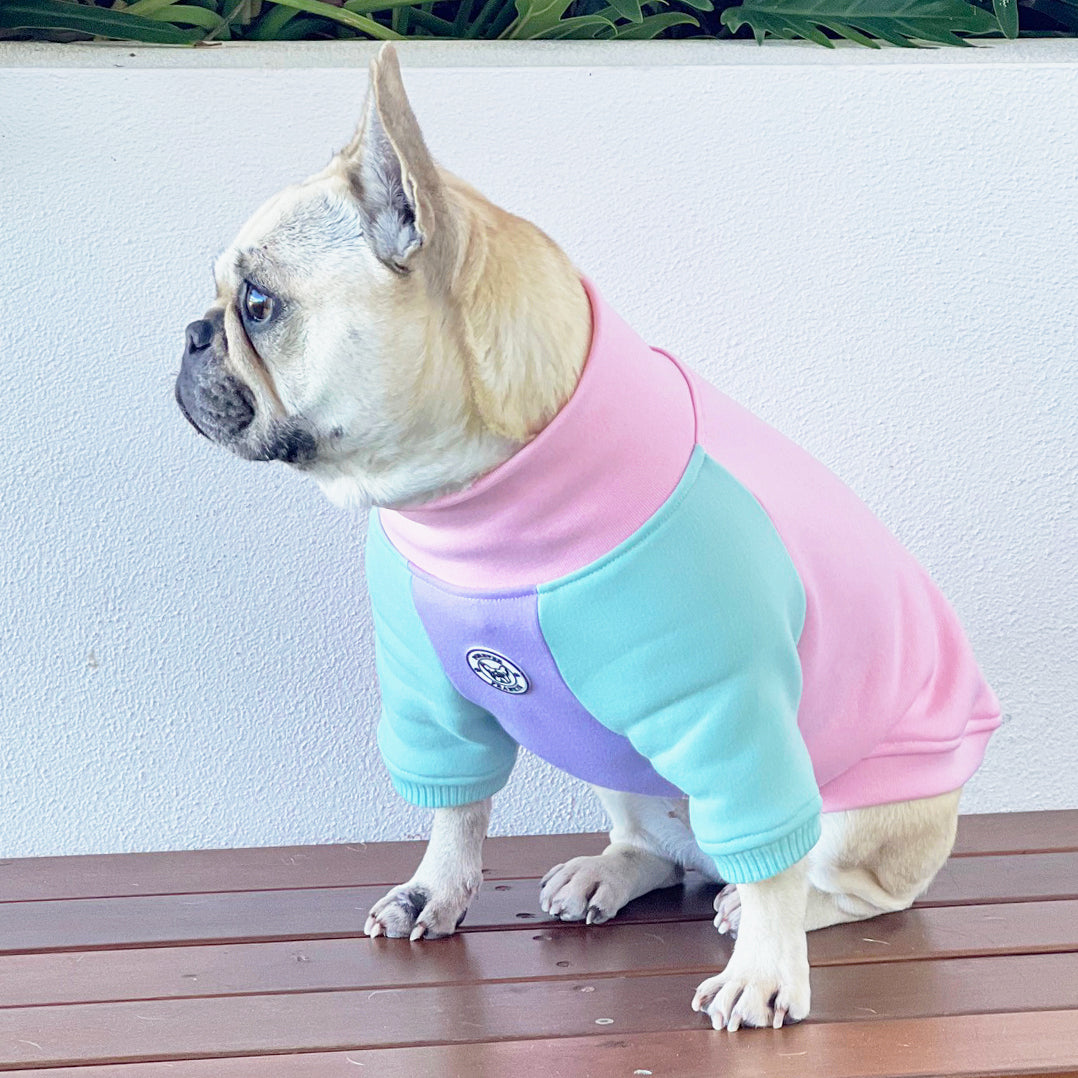 Cotton Candy Cutie Dog Skivvy