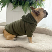 Evergreen Sherpa Lined Dog Hoodie
