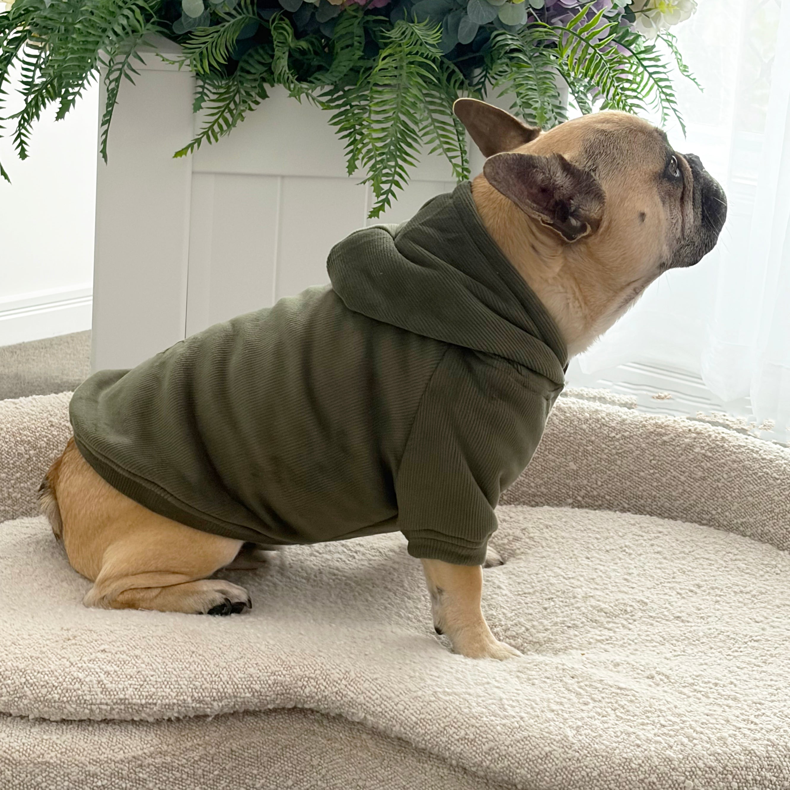 Evergreen Sherpa Lined Dog Hoodie