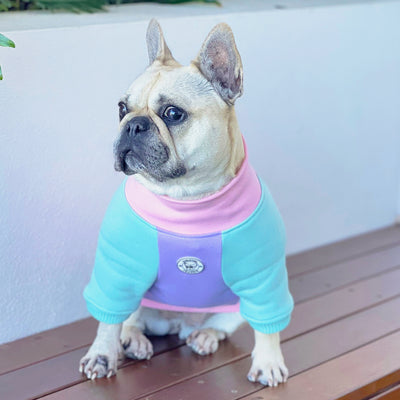 Cotton Candy Cutie Dog Skivvy