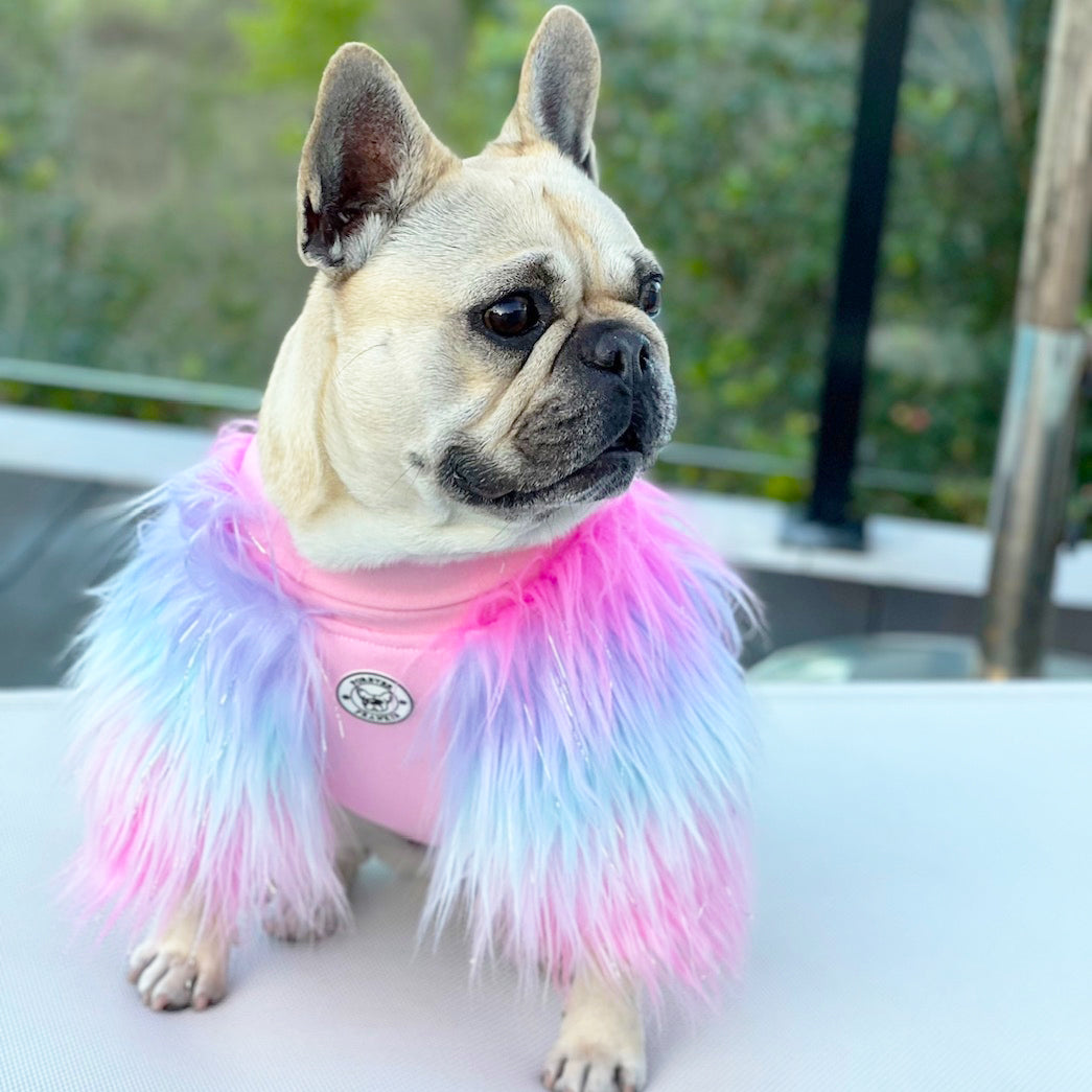 LUXE - Unicorn Rainbow- Dog Skivvie (Limited Edition)