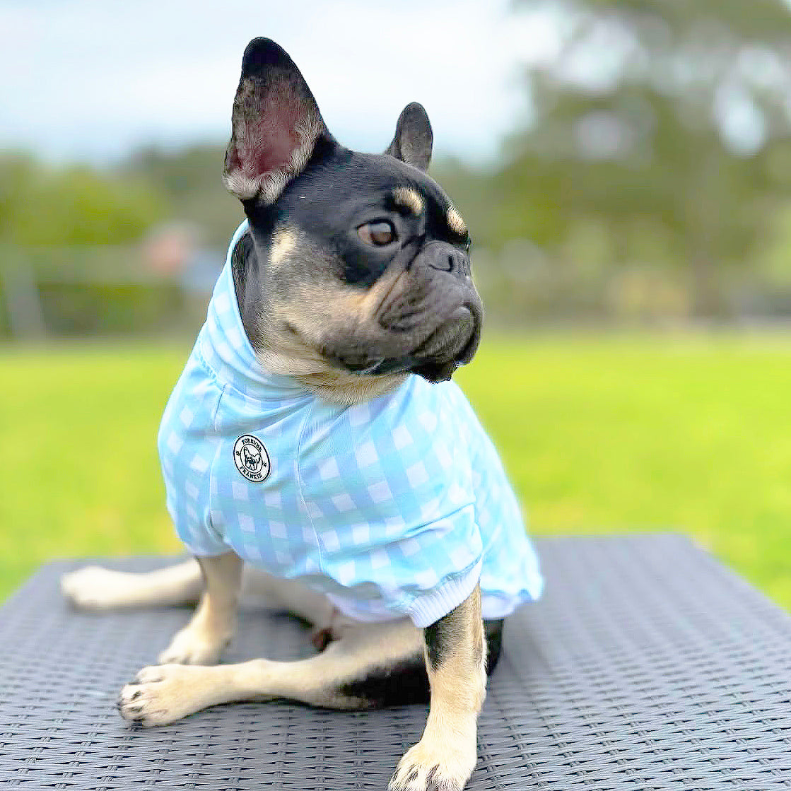 Luxe-Seafoam Snuggles Dog Skivvy